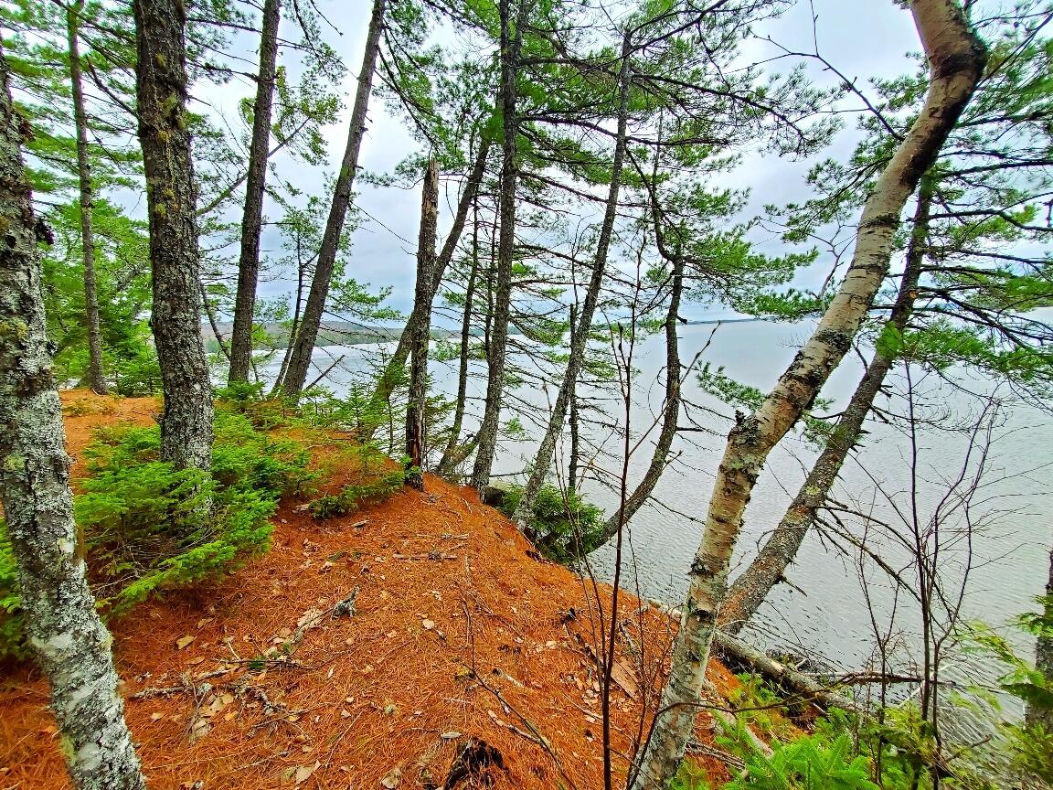 0 Jesses Beach Way Ellsworth ME 04605