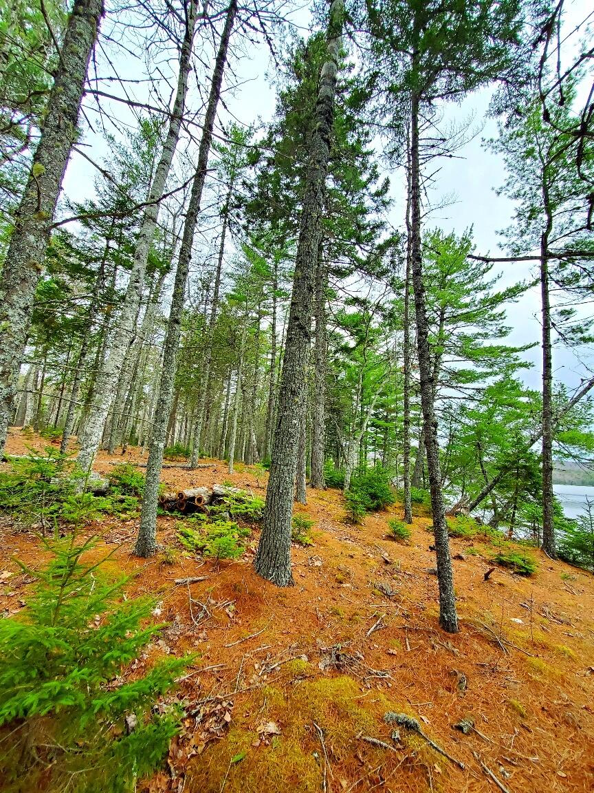 0 Jesses Beach Way Ellsworth ME 04605