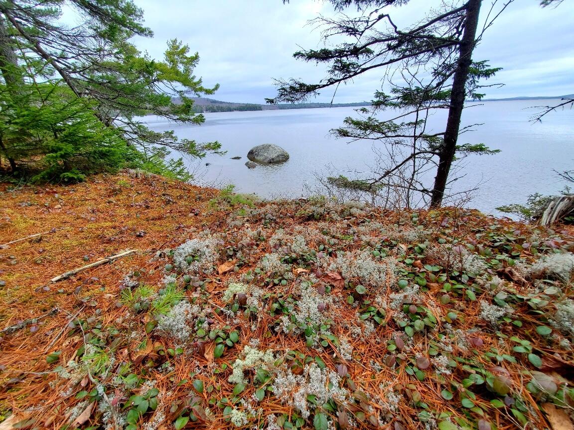 0 Jesses Beach Way Ellsworth ME 04605