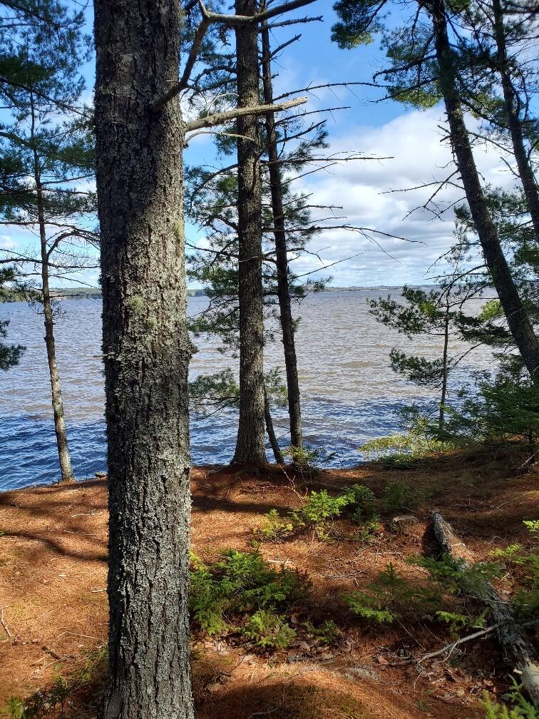 0 Jesses Beach Way Ellsworth ME 04605