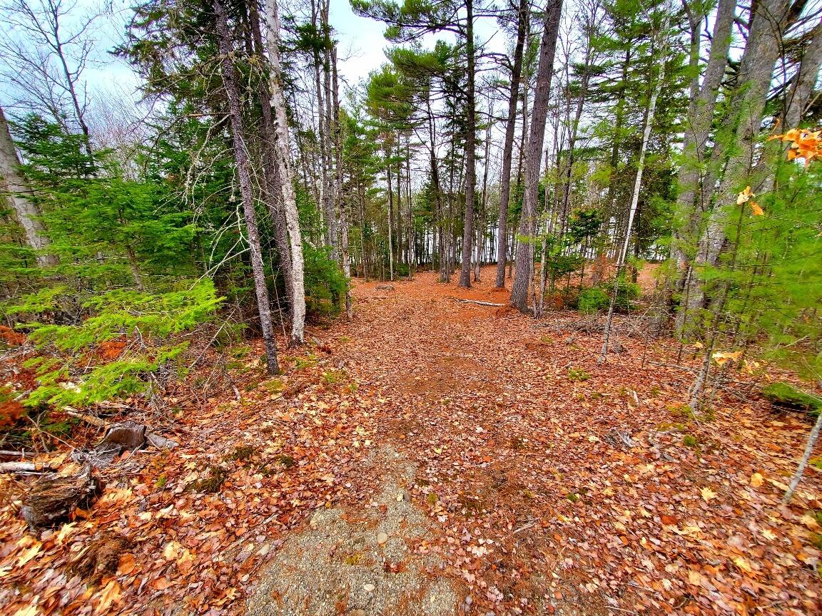 0 Jesses Beach Way Ellsworth ME 04605