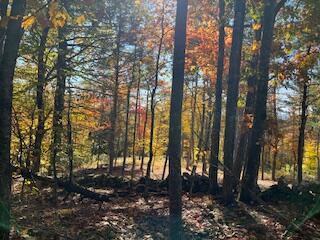 R10-041 Town Farm Road Oxford ME 04270