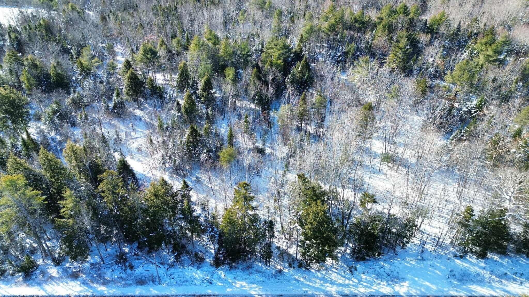 Lot #10 Russell Hill Road Bucksport ME 04416