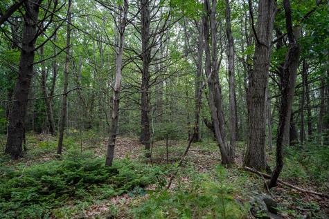 0 Wildes District Road Kennebunkport ME 04046