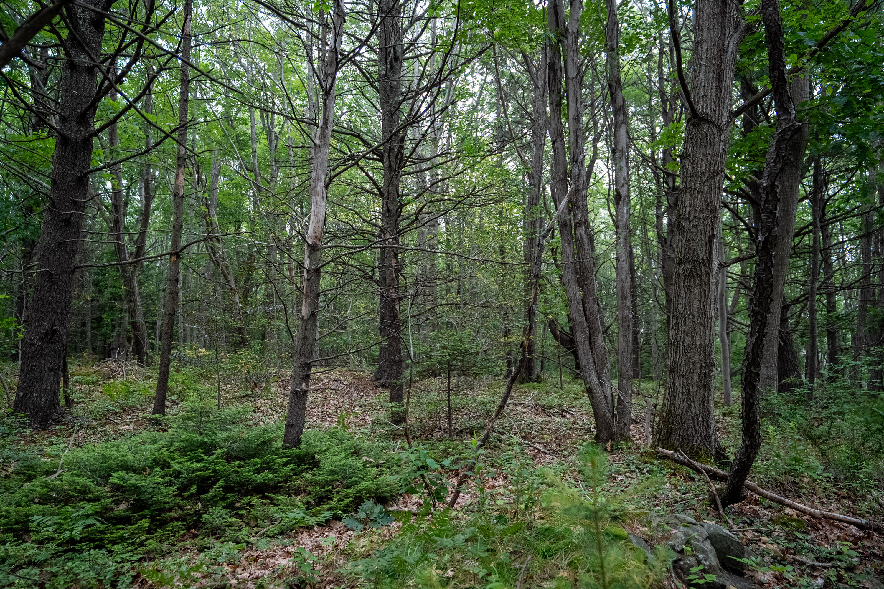 0 Wildes District Road Kennebunkport ME 04046