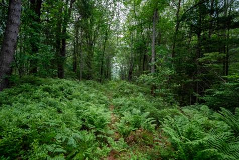 0 Wildes District Road Kennebunkport ME 04046