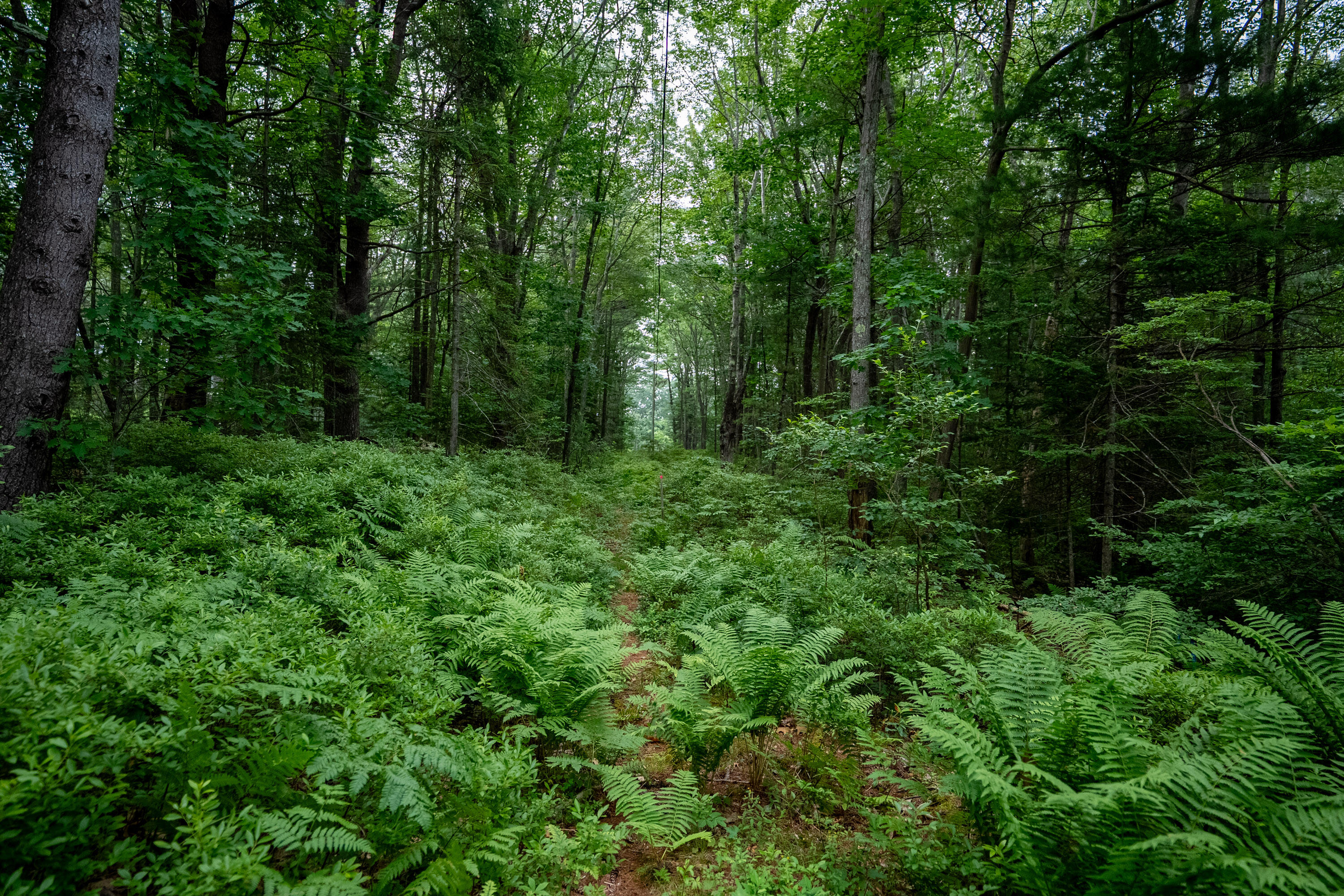 0 Wildes District Road Kennebunkport ME 04046