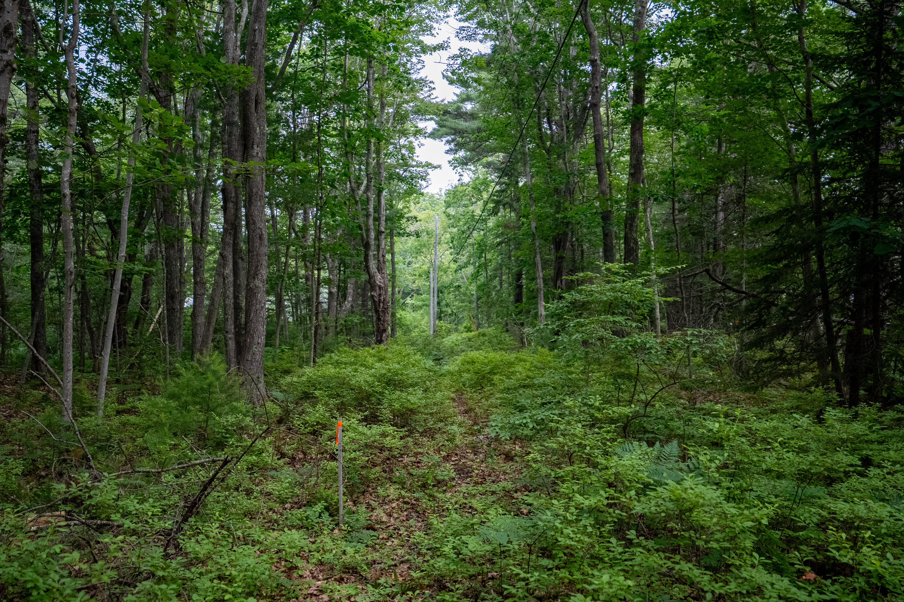 0 Wildes District Road Kennebunkport ME 04046