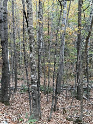 4.5 Sunrise Lane Moscow ME 04920