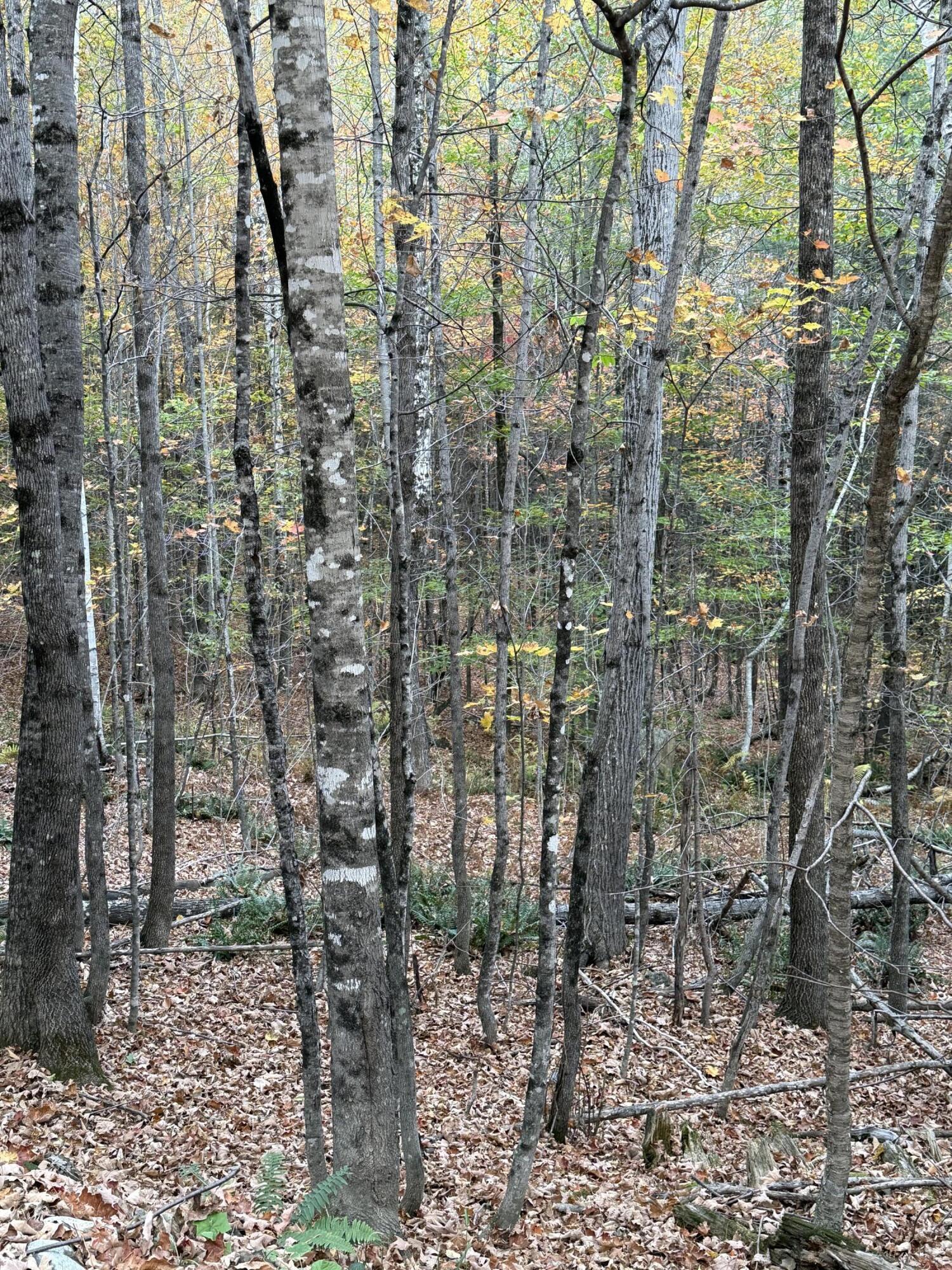 4.5 Sunrise Lane Moscow ME 04920