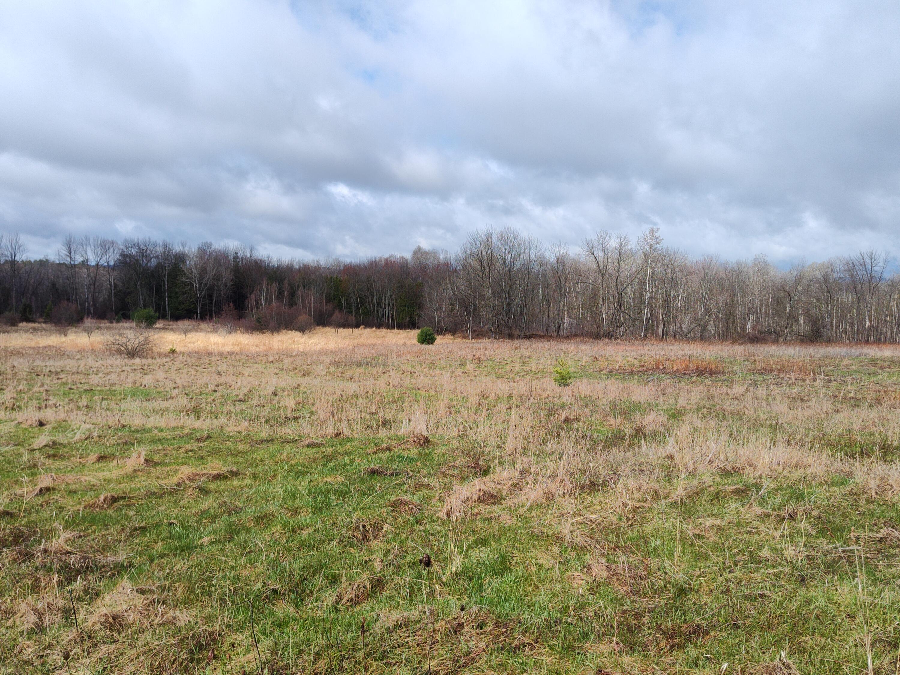 018B Greenbush Road Corinna ME 04928