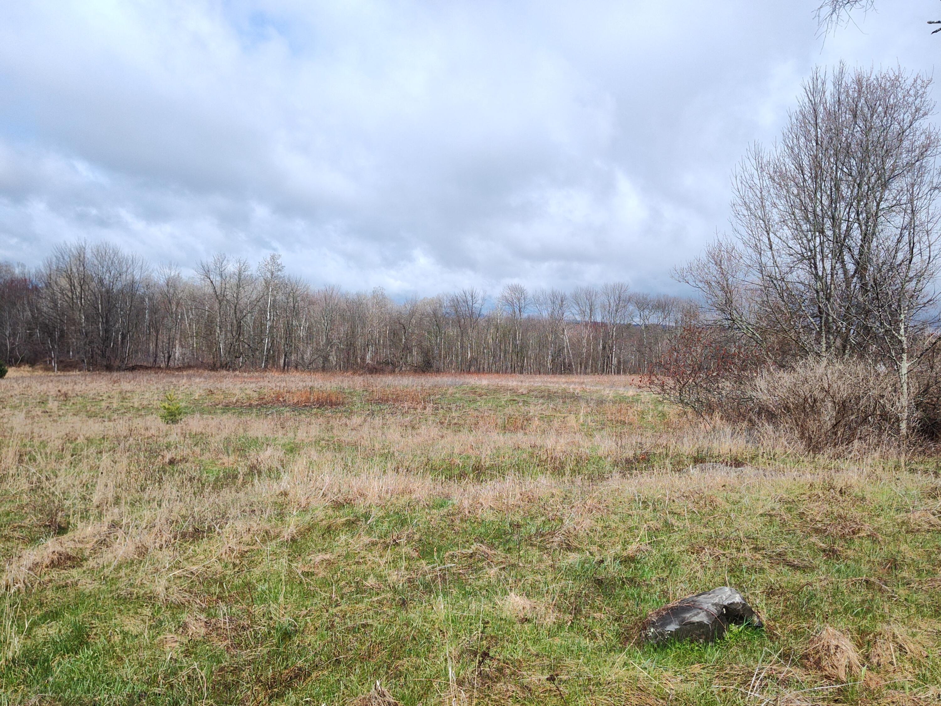 018B Greenbush Road Corinna ME 04928