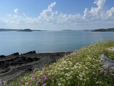 Map 15 Lot 307-9 Johnson Street Lubec ME 04652