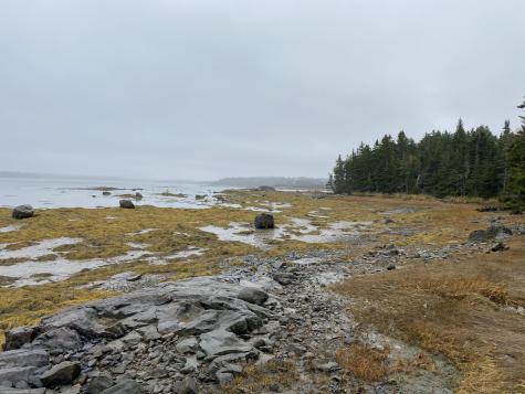 Lot 94 Maker's Point Road Jonesport ME 04649