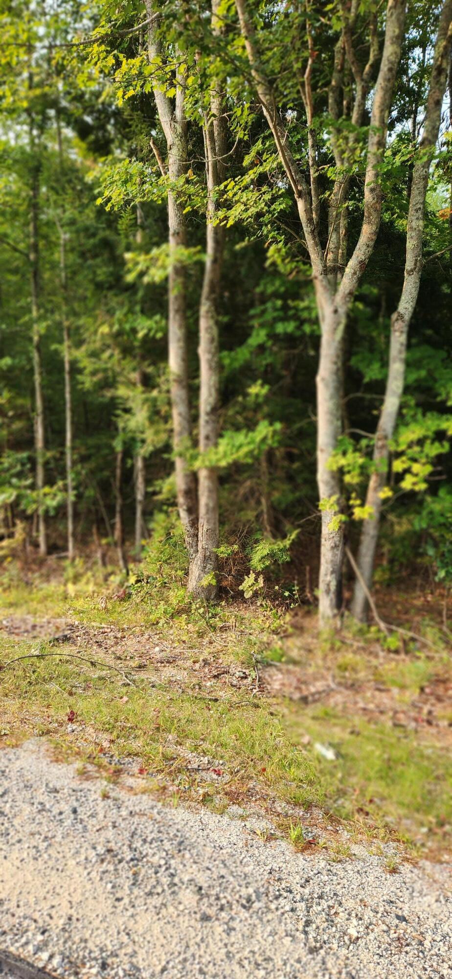 Lot 35-1 Back Road Shapleigh ME 04076