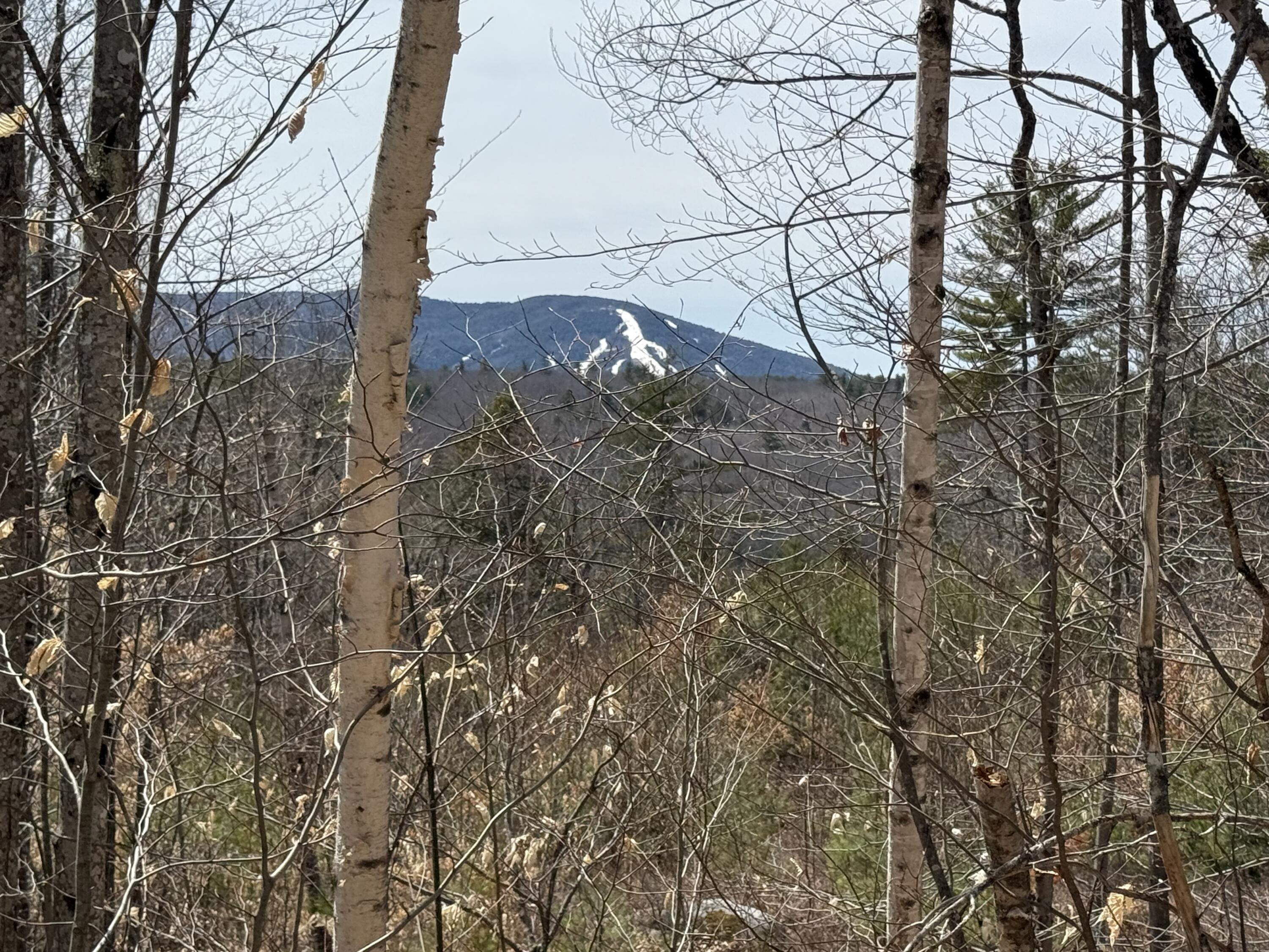 Lot 82 Summit Drive Bridgton ME 04009