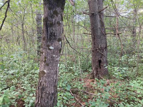 MAP51,24 Two Rod Road Gray ME 04039