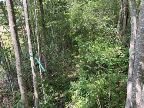 MAP51,24 Two Rod Road Gray ME 04039