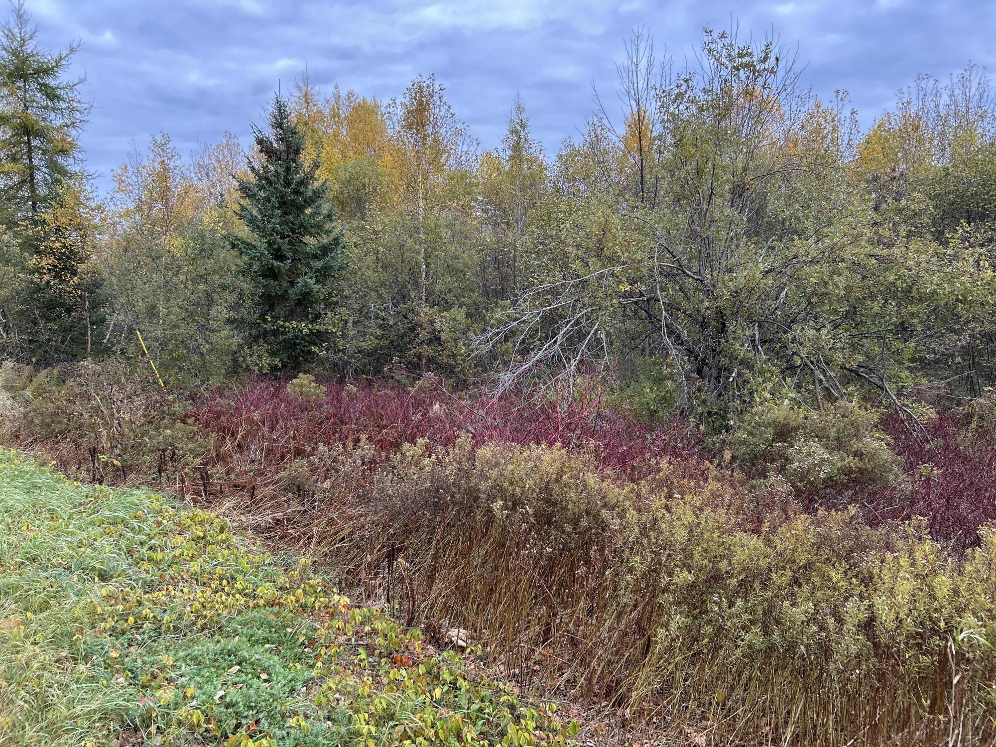 MAP5LOT1 Silvers Mills Road Sangerville ME 04479