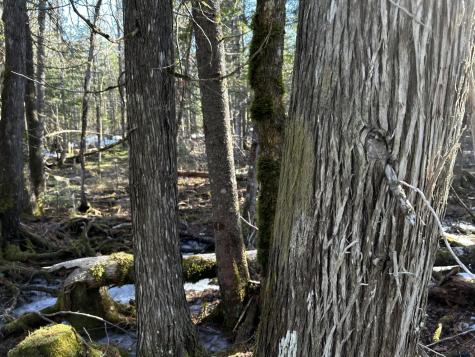 MAP5LOT1 Silvers Mills Road Sangerville ME 04479