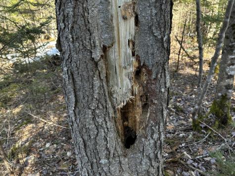 MAP5LOT1 Silvers Mills Road Sangerville ME 04479