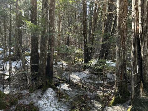 MAP5LOT1 Silvers Mills Road Sangerville ME 04479