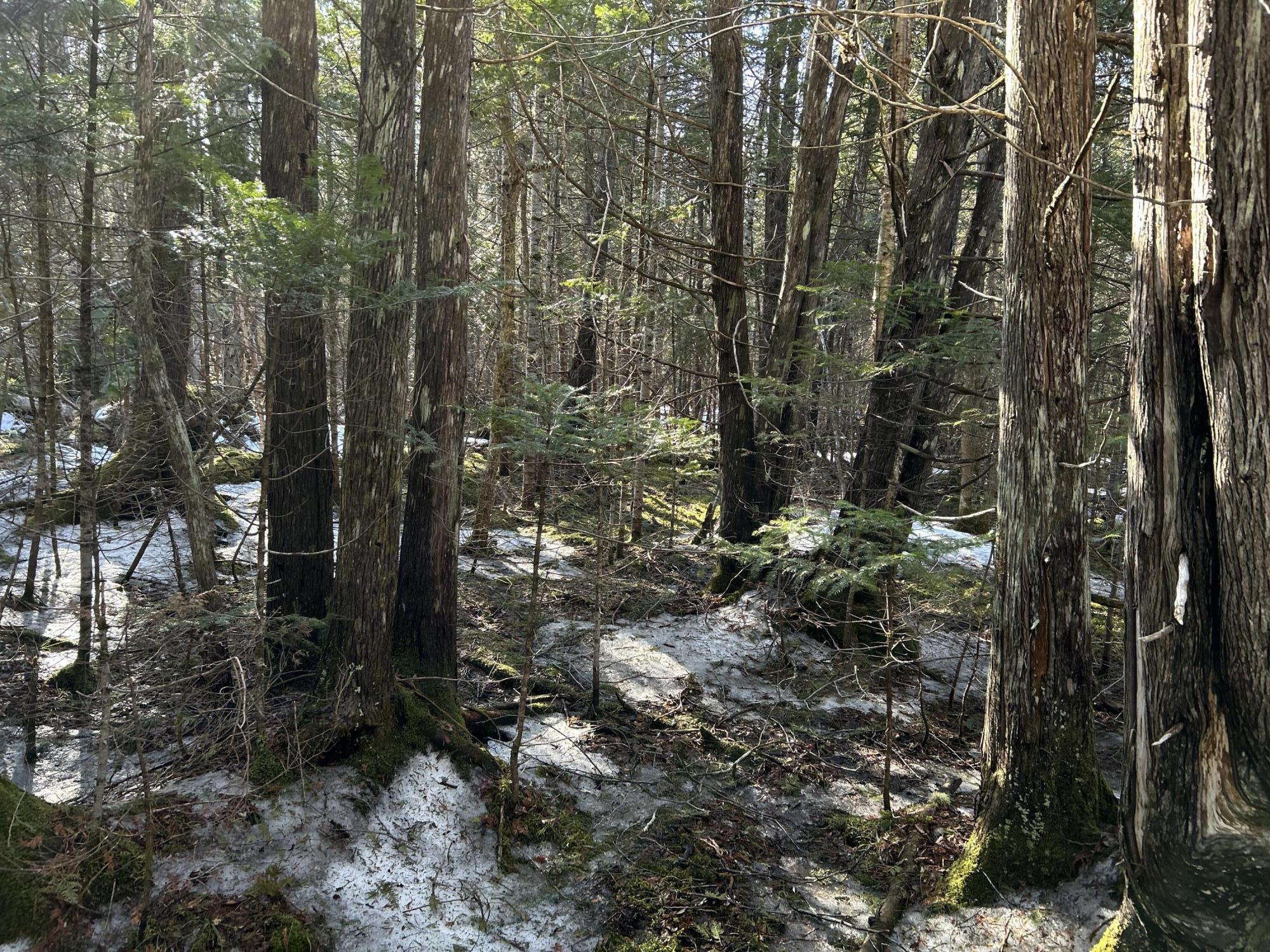 MAP5LOT1 Silvers Mills Road Sangerville ME 04479