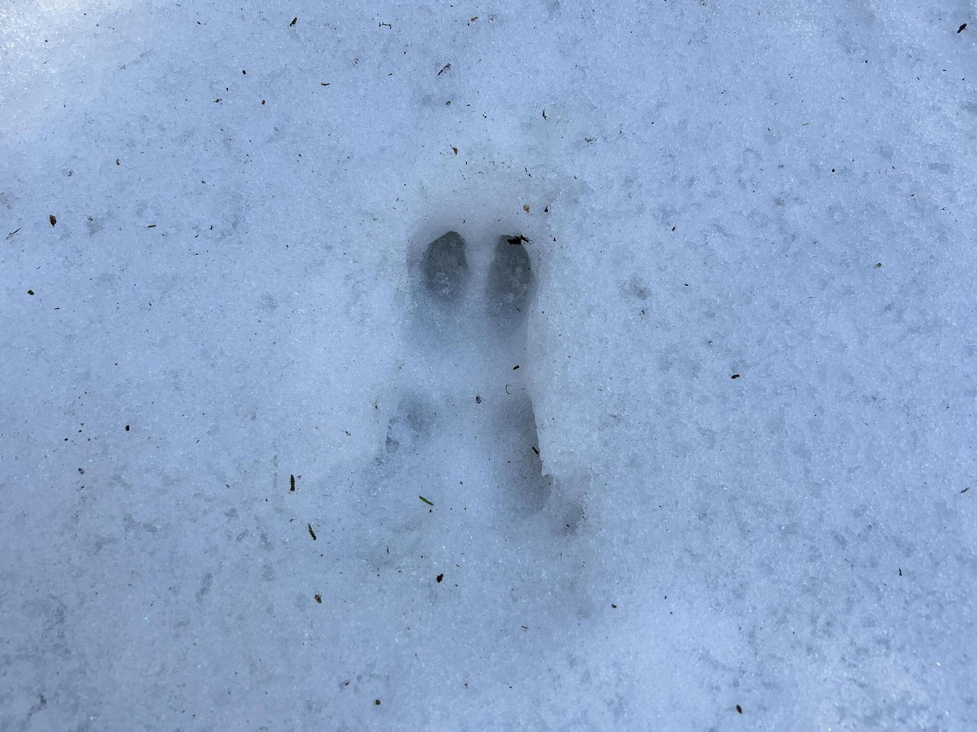 MAP5LOT1 Silvers Mills Road Sangerville ME 04479