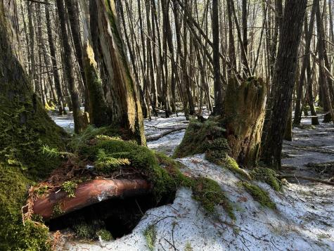 MAP5LOT1 Silvers Mills Road Sangerville ME 04479