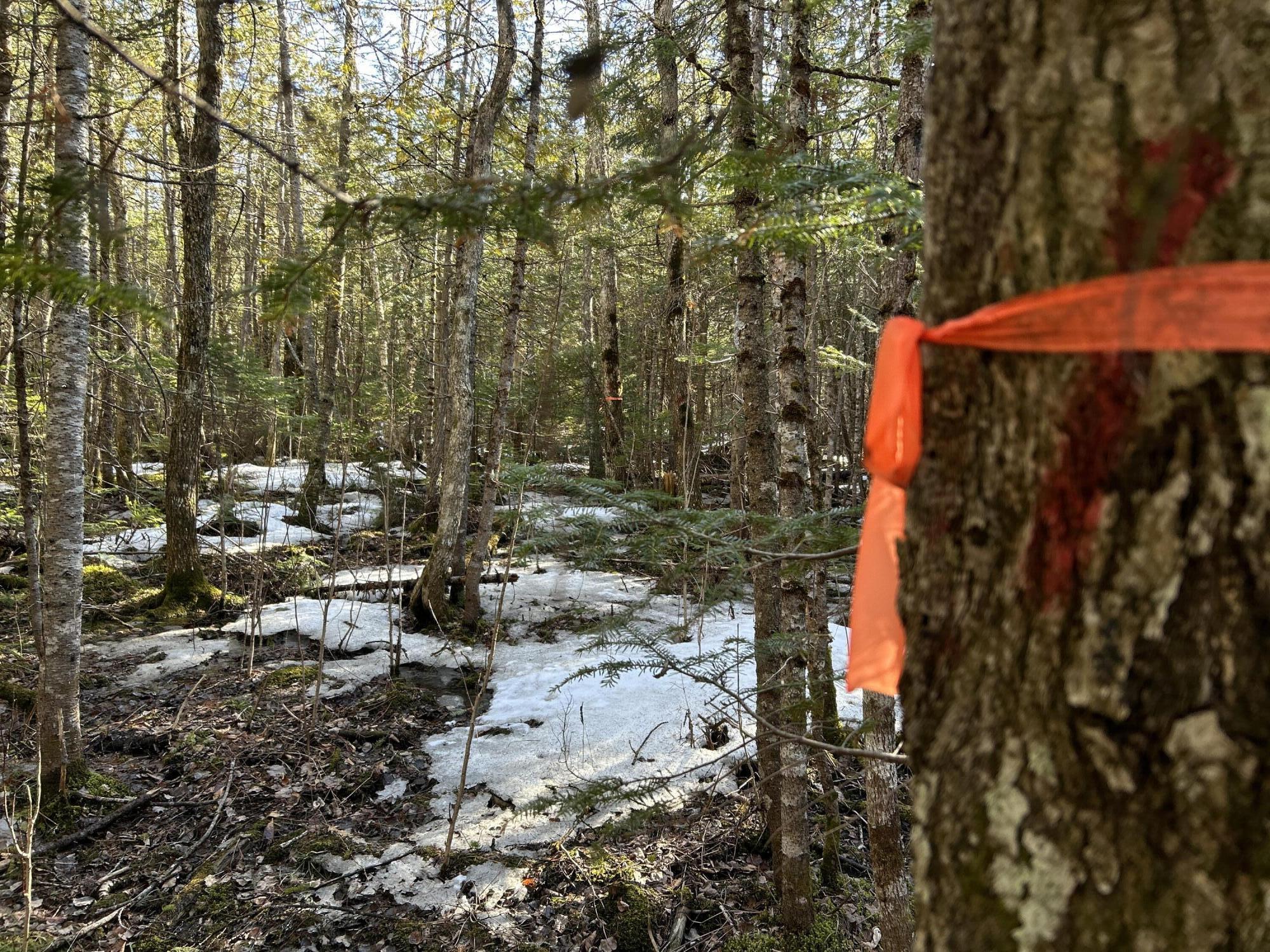 MAP5LOT1 Silvers Mills Road Sangerville ME 04479