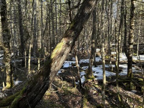 MAP5LOT1 Silvers Mills Road Sangerville ME 04479