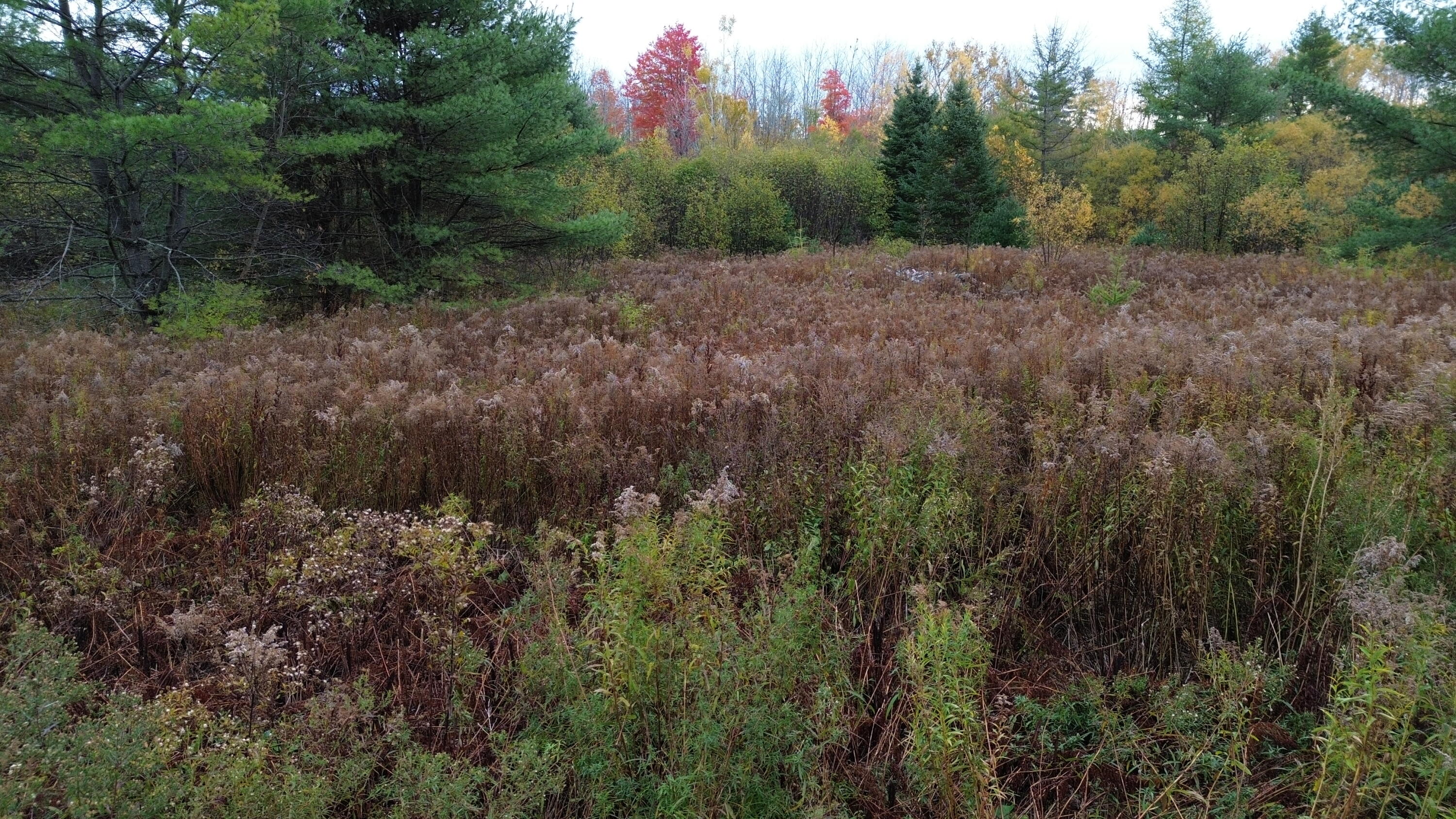 MAP5LOT1 Silvers Mills Road Sangerville ME 04479