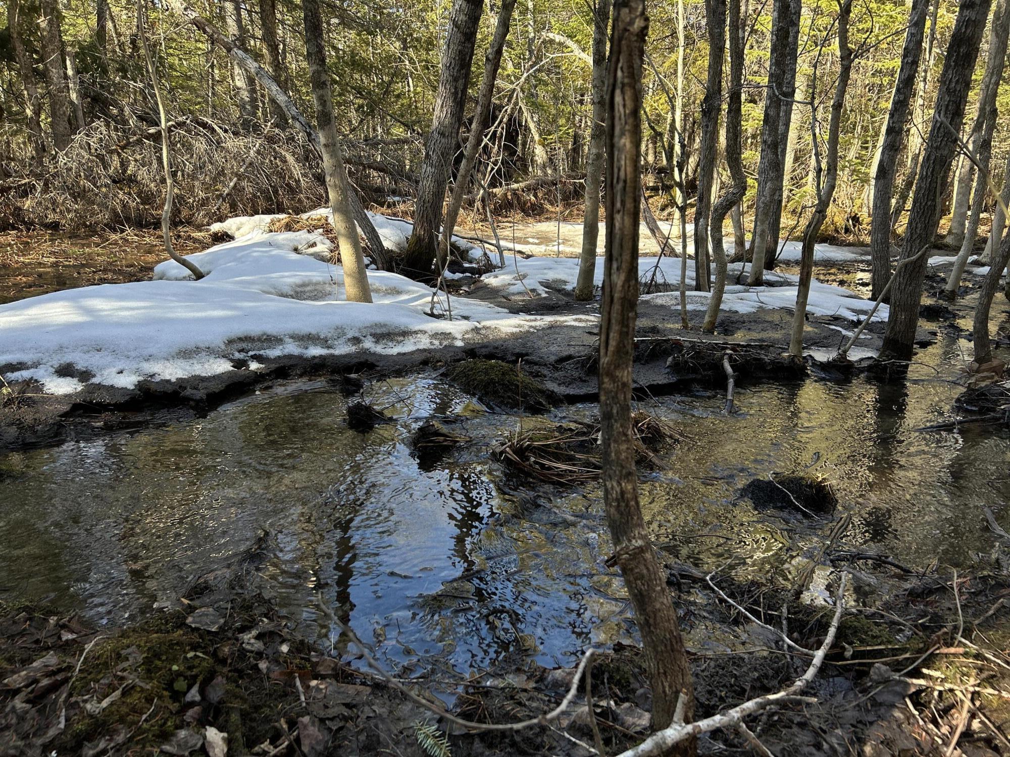 MAP5LOT1 Silvers Mills Road Sangerville ME 04479