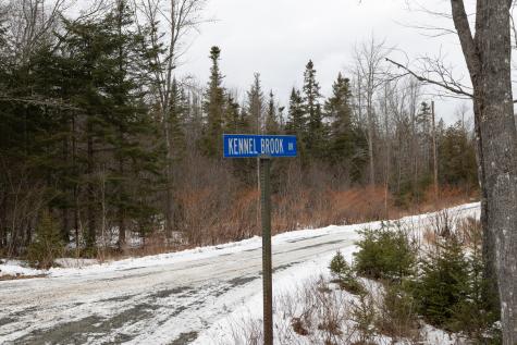 Lot 12 Kennel Brook Drive Lamoine ME 04605