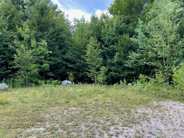 Wa4 Partridge Knoll Cathance Twp ME 04628