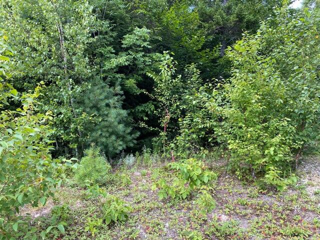 Wa4 Partridge Knoll Cathance Twp ME 04628