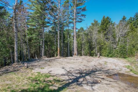 M1 L81-11 Asa's Lane Lamoine ME 04605