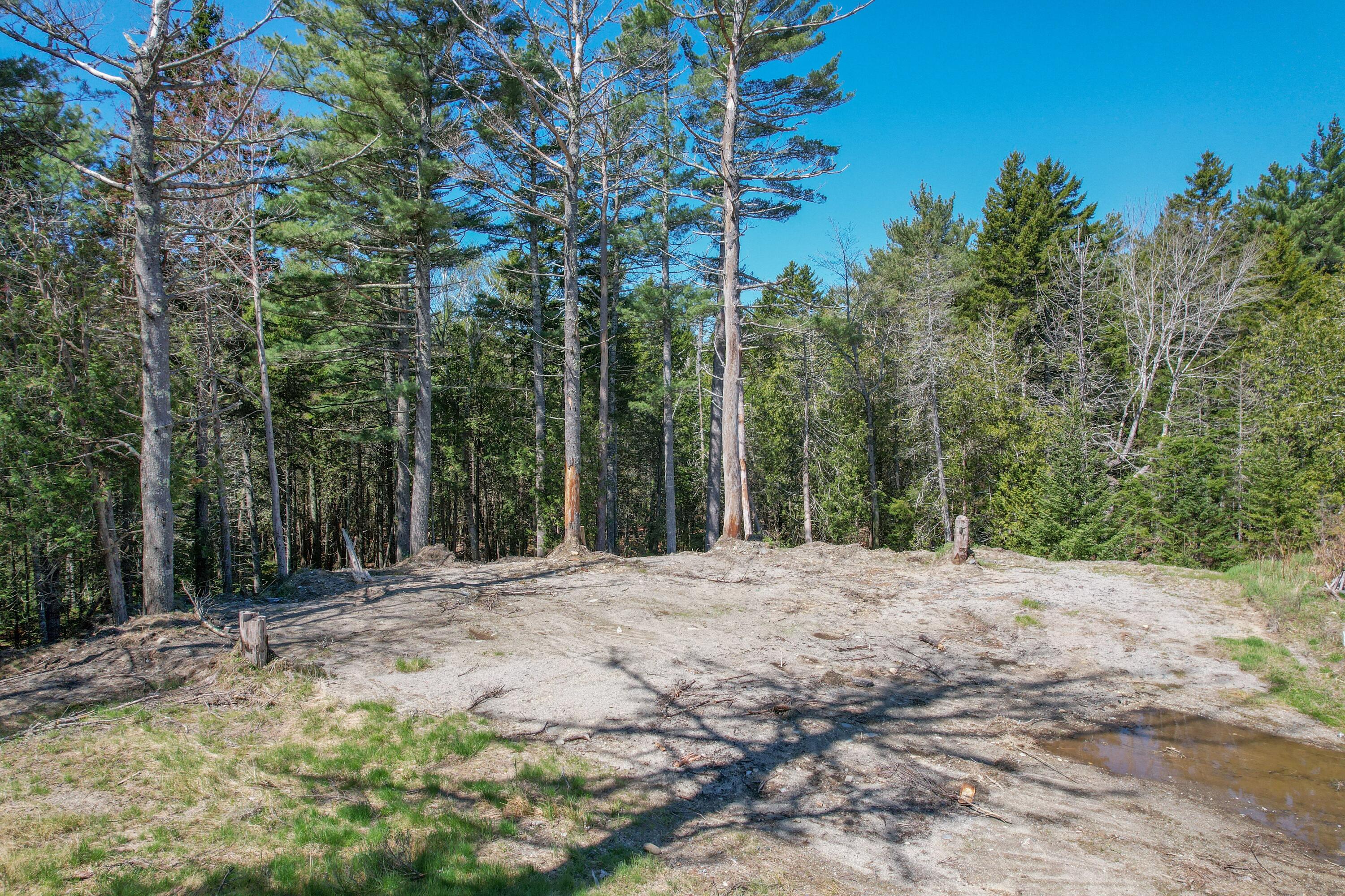 M1 L81-11 Asa's Lane Lamoine ME 04605