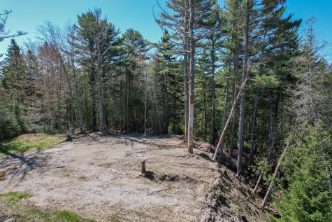 M1 L81-11 Asa's Lane Lamoine ME 04605