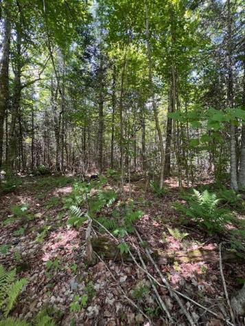 Lot 35 Woodland Ridge Road Danforth ME 04424