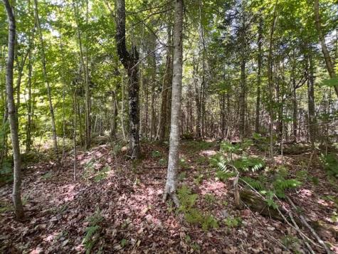 Lot 35 Woodland Ridge Road Danforth ME 04424