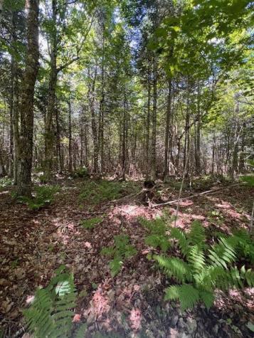 Lot 35 Woodland Ridge Road Danforth ME 04424