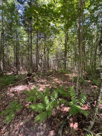 Lot 35 Woodland Ridge Road Danforth ME 04424