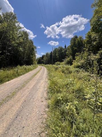Lot 35 Woodland Ridge Road Danforth ME 04424