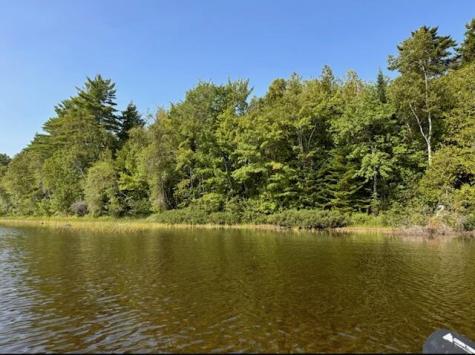 Lot 35 Woodland Ridge Road Danforth ME 04424