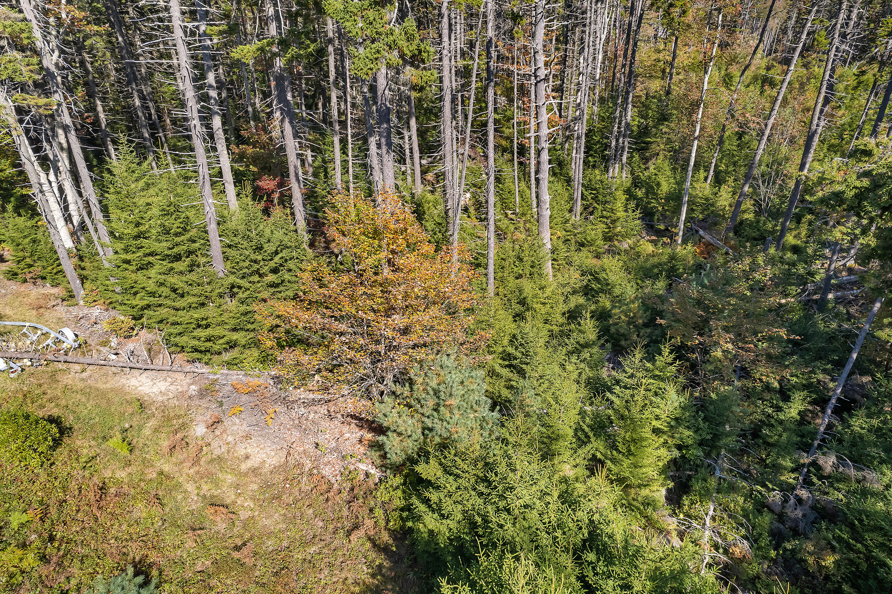 0 Holland Drive Phippsburg ME 04562