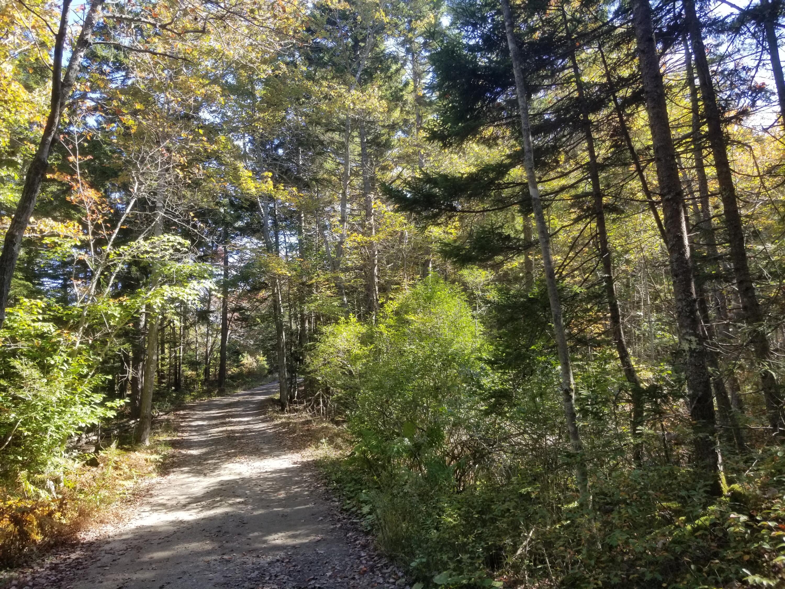 0 Holland Drive Phippsburg ME 04562