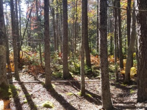 0 Holland Drive Phippsburg ME 04562