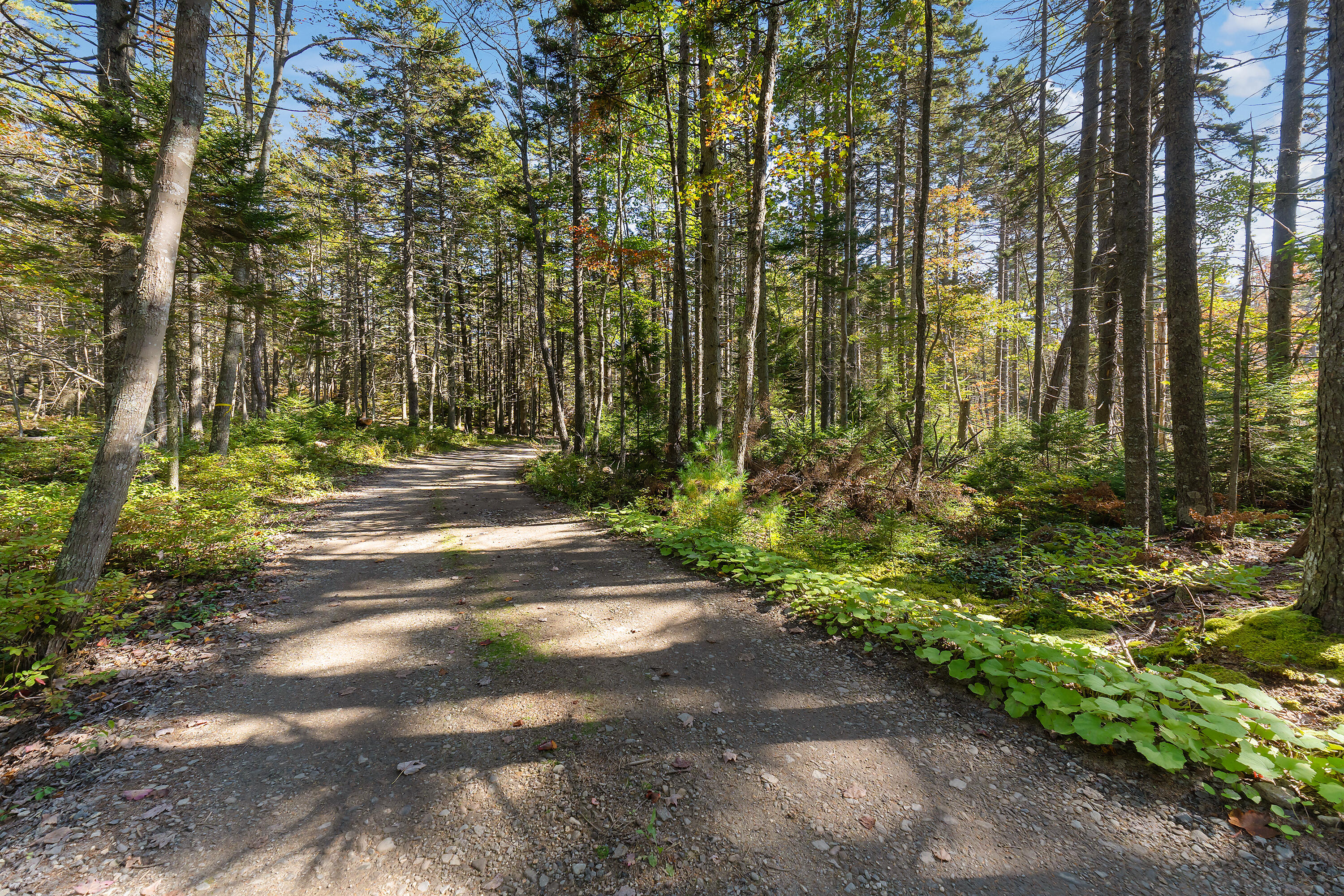 0 Holland Drive Phippsburg ME 04562