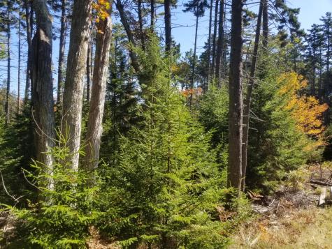 0 Holland Drive Phippsburg ME 04562